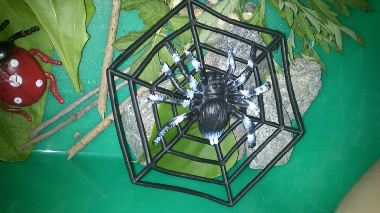 Еще немного про насекомых. Игры и творчество.