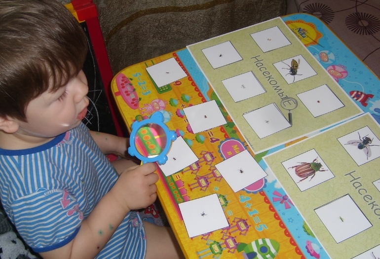 Еще немного про насекомых. Игры и творчество.