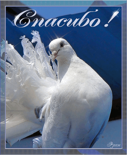 Пришли мои наборчики!