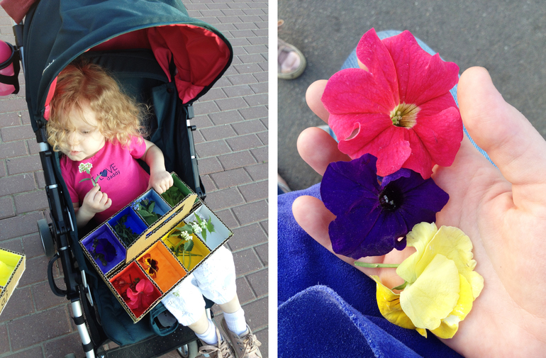 Цветовая коробочка