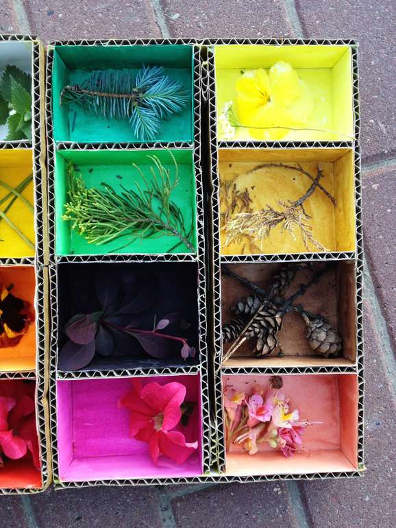 Цветовая коробочка