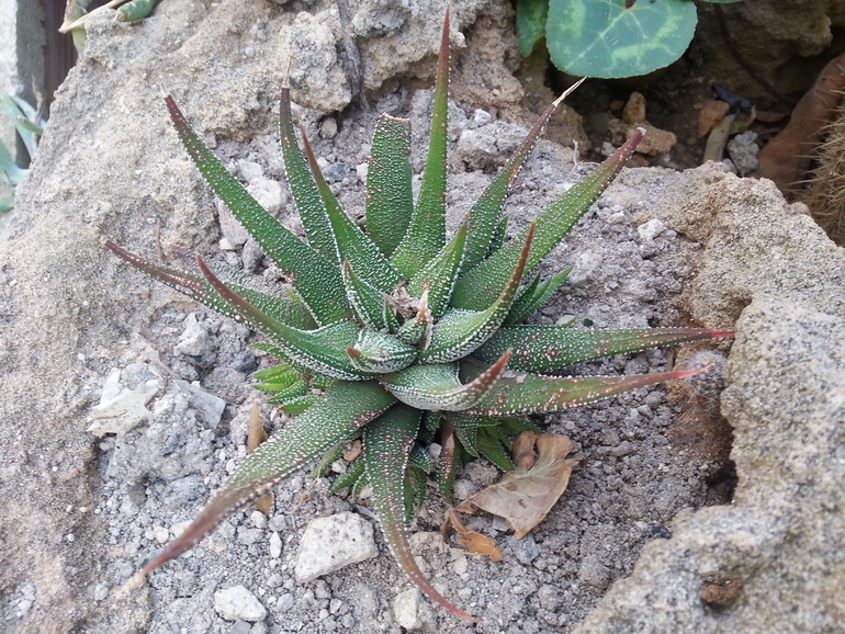 нужна помощь!