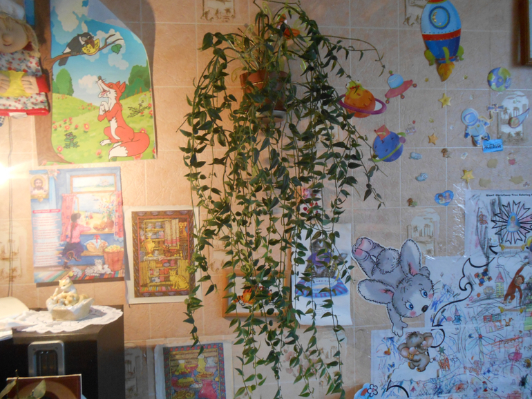 Мои любимые чувствуют весну)))