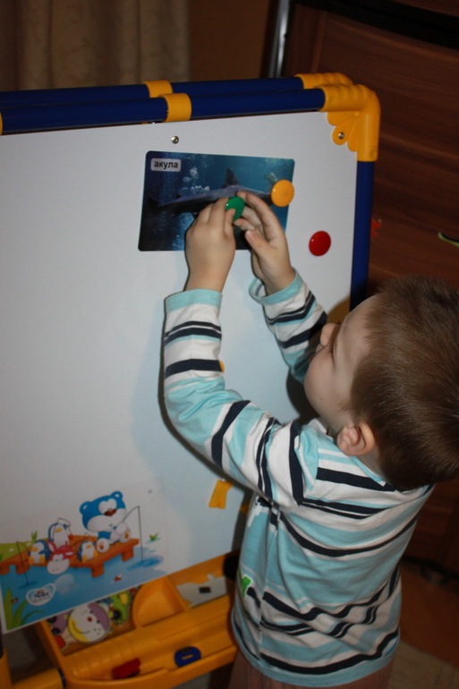 ТН "Море и обитатели" - отчет - день 1