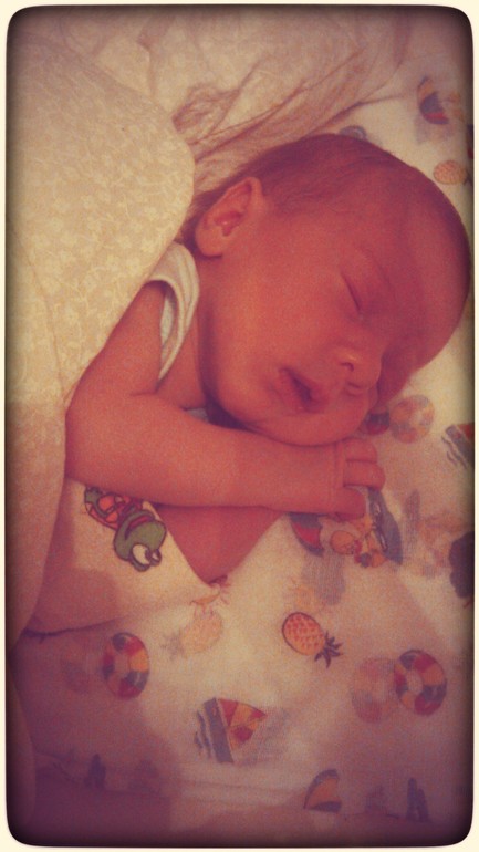 1 месяц пчелки