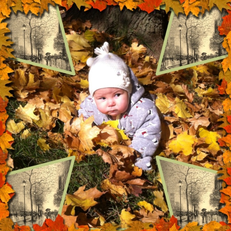 Фотографии