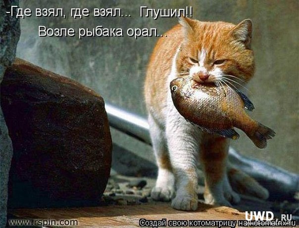 Пост!!!