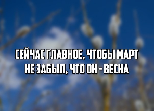 907ba5364d871967ff666a9fb649ace4.jpg