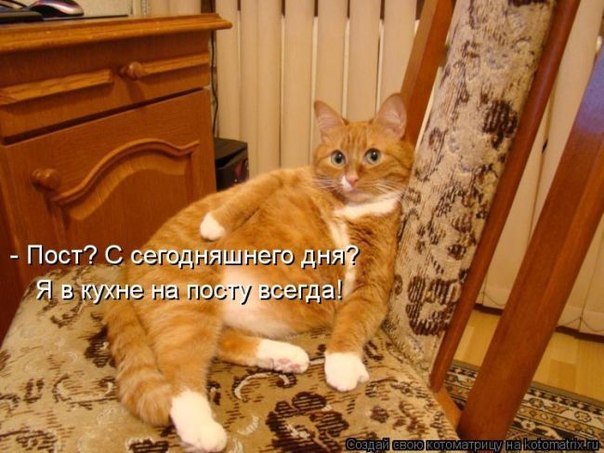 Начинается Рождественский пост