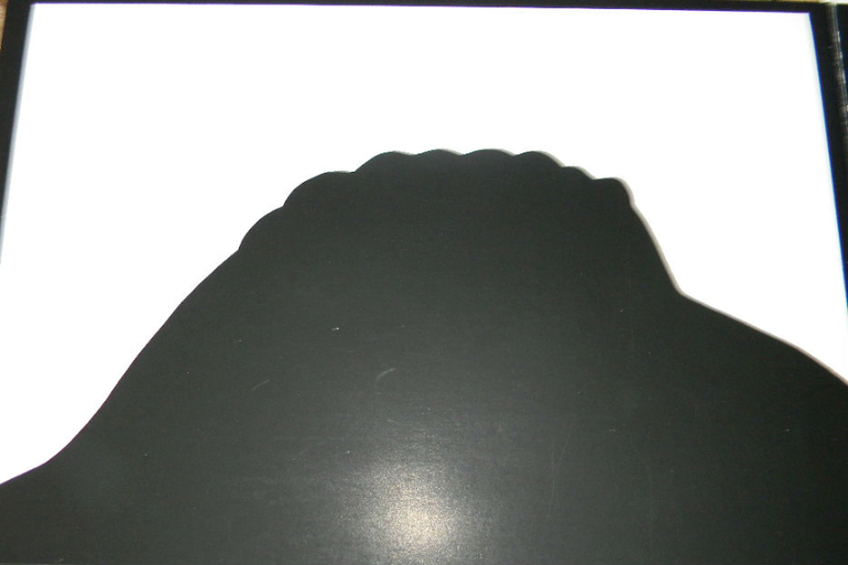 ЖИНЕВОТЫ -мой отзыв о книге...