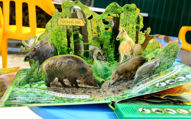 Лучшие книги для детей, на тему "Осень" ... — 24 ответов | форум Babyblog