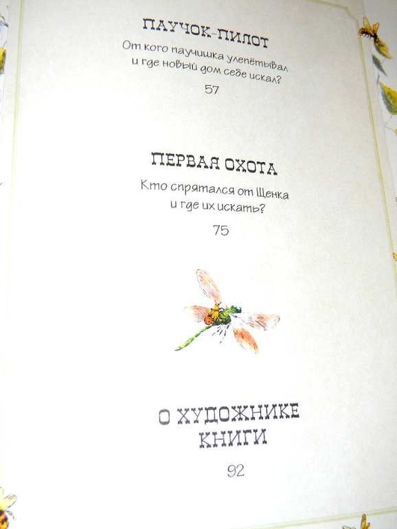 "Репортаж со стадиона Жукамо"