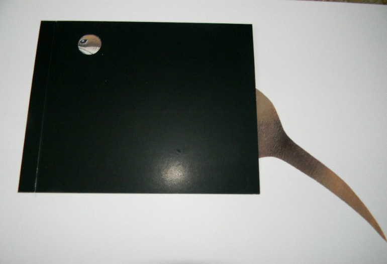 ЖИНЕВОТЫ -мой отзыв о книге...