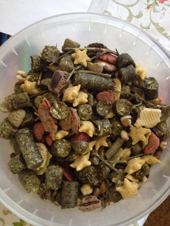 А любите ли вы свинок, как люблю их я? Хрумка.