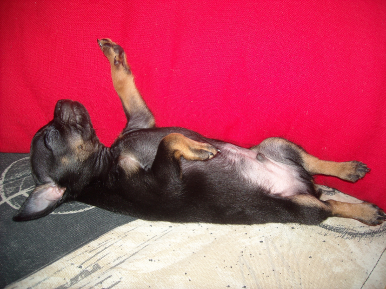 Грустно так...