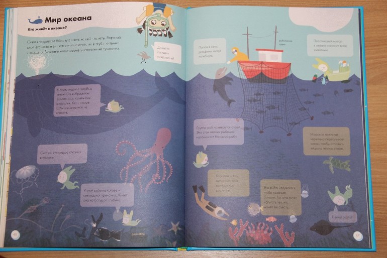 Мой большой мир