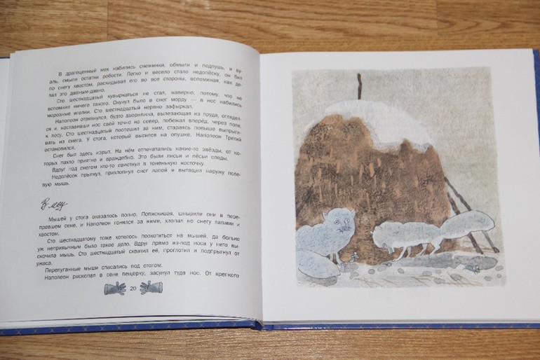 Две книги с иллюстрациями Дмитрия Трубина