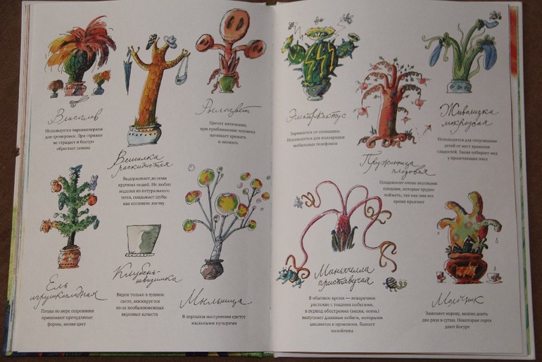 Чтение ноябрь 2013