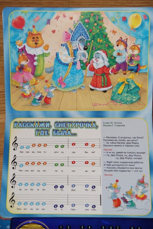 Новогодние музыкальные книги