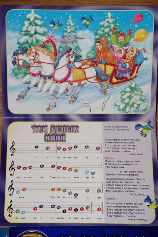 Новогодние музыкальные книги