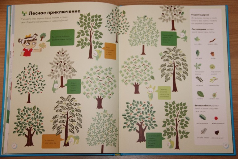 Мой большой мир