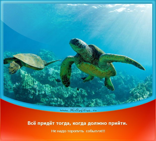 Душа отозвалась на эту фразу....зацепила