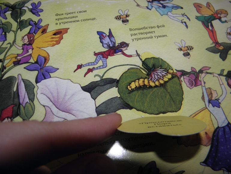 Хотите узнать как живут феи и эльфы!?