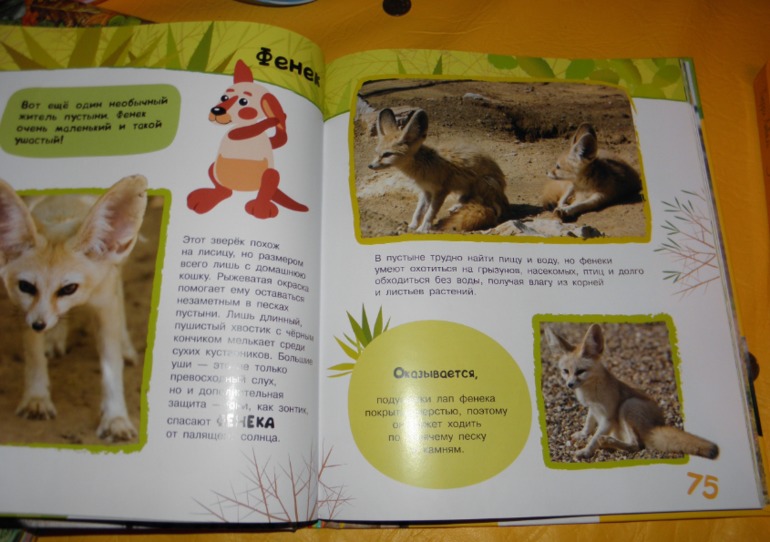 ФМ Африка день 2 и 3 ( саванна и пустыня)