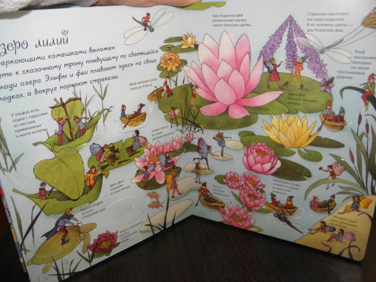 Хотите узнать как живут феи и эльфы!?