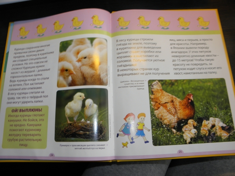 Тематическое занятие Цыпленок!