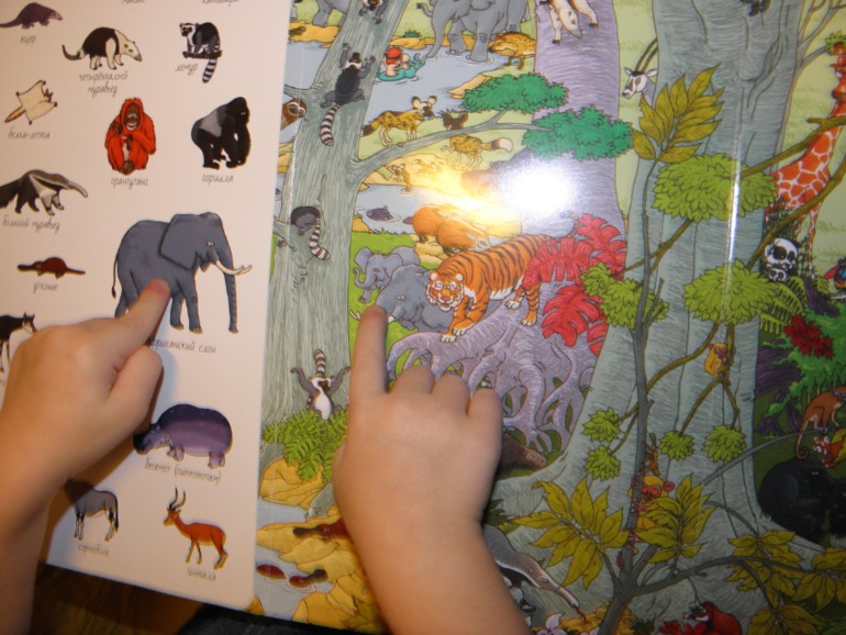 ФМ Африка день 1