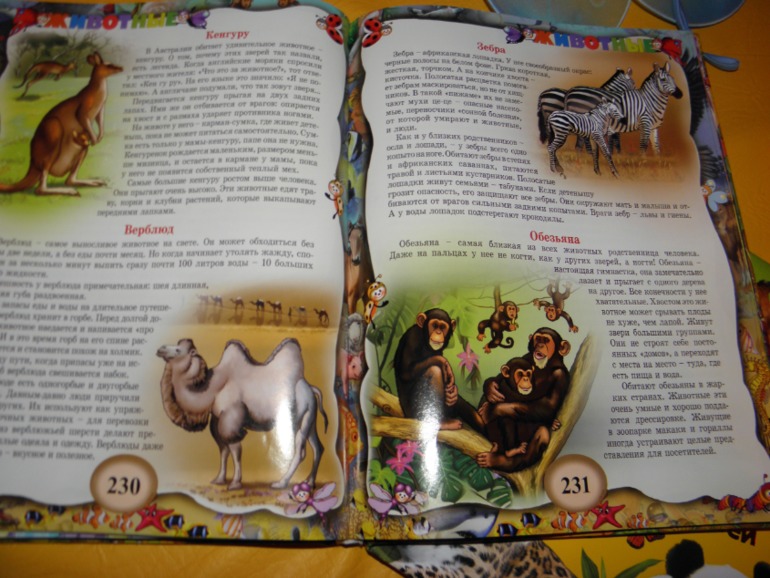 ФМ Африка день 2 и 3 ( саванна и пустыня)