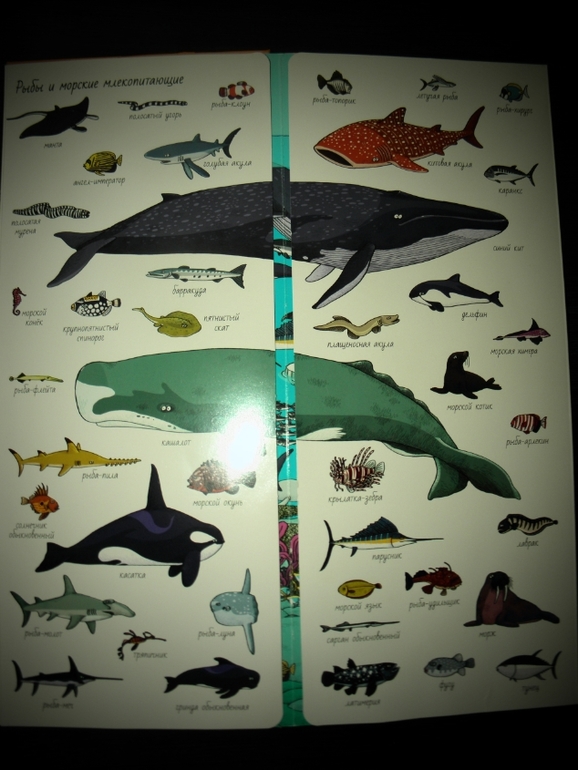 2 любимые книги!