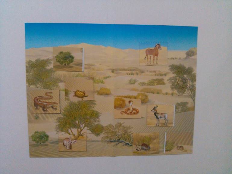 Продолжение африканского путешествия