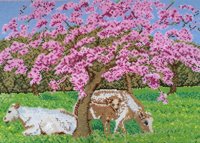 Мои любимые коровки!