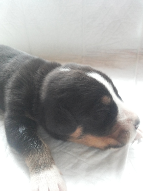 Наши детки подросли...