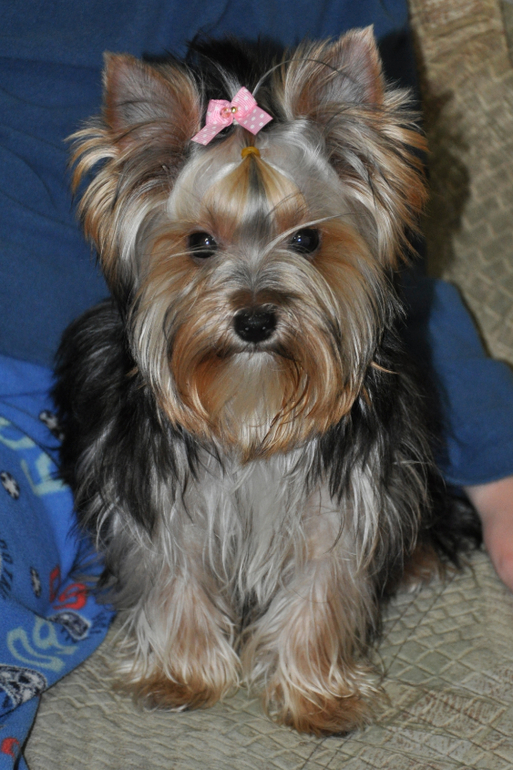 Растет наша девчушка:)