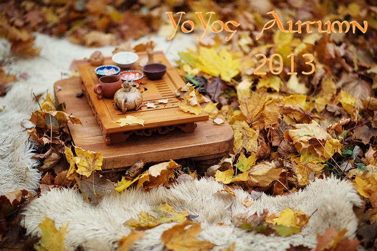 YoYog осень2013