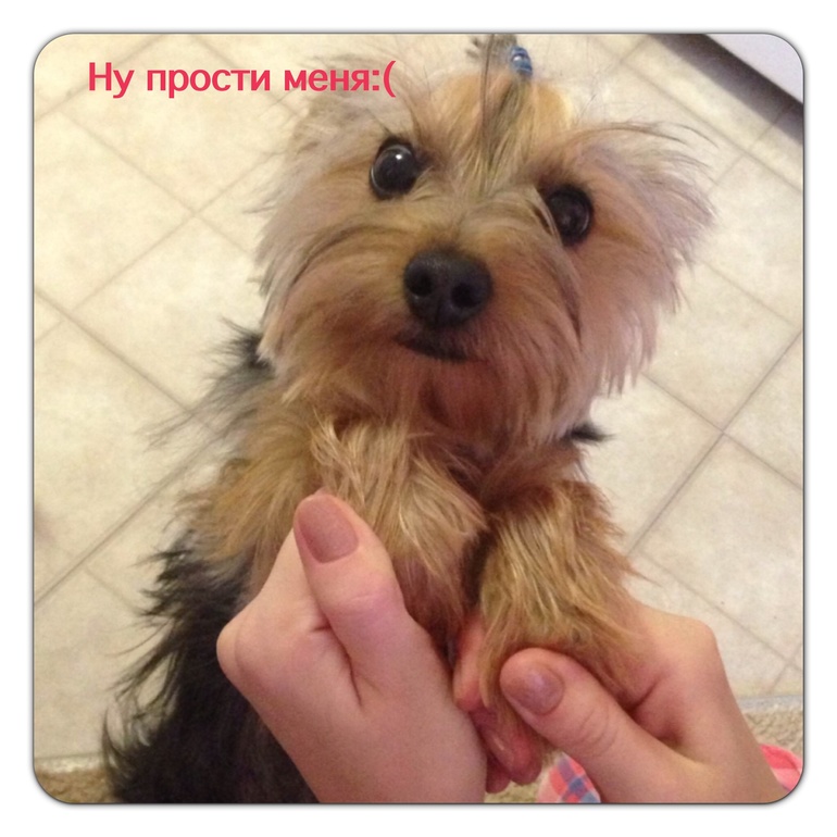 Ну как можно на нее сердится?