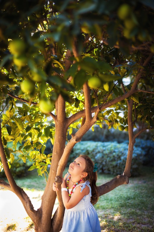 Турция. Кемер. Акка - Алнида. осень 2013