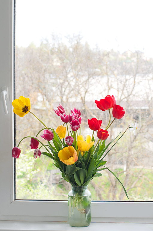 Мечтательный блокнот