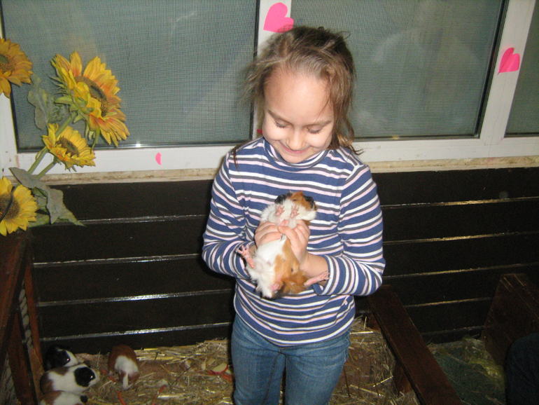 Контактный зоопарк на ВДНХ