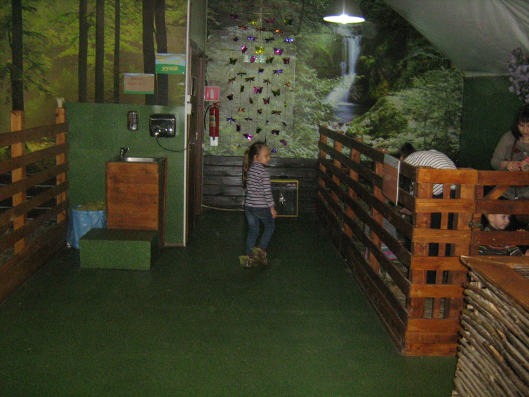 Контактный зоопарк на ВДНХ