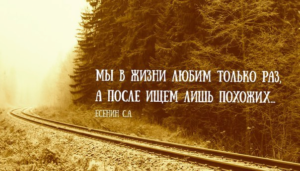 2 раза в жизни. Цитаты мы ищем похожих. Мы в жизни любим один раз. Мы ищем лишь похожих. Цитата мы в жизни любим только раз.