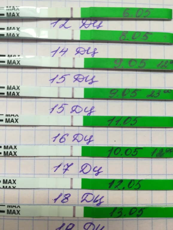 Овуляция 28 день цикла тест. Цикл 30 дней. Ранняя овуляция. Овуляция при цикле 29 дней. Овуляция при цикле 29 дней.