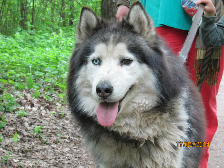 Наши замечательные выходные))