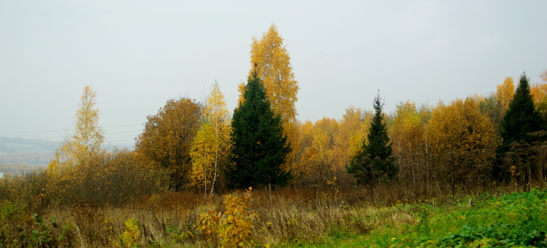 197ea7647aaeb00cd8974a6f70ad0a6b.jpg