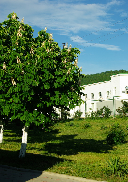 Абрау Дюрсо май 2014