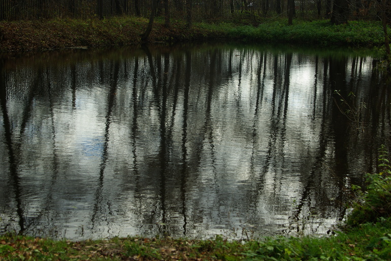 a3d5ebe919d615d2257378e30808b04e.jpg