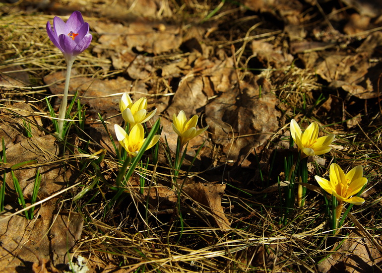 Поваровка 27.03.14